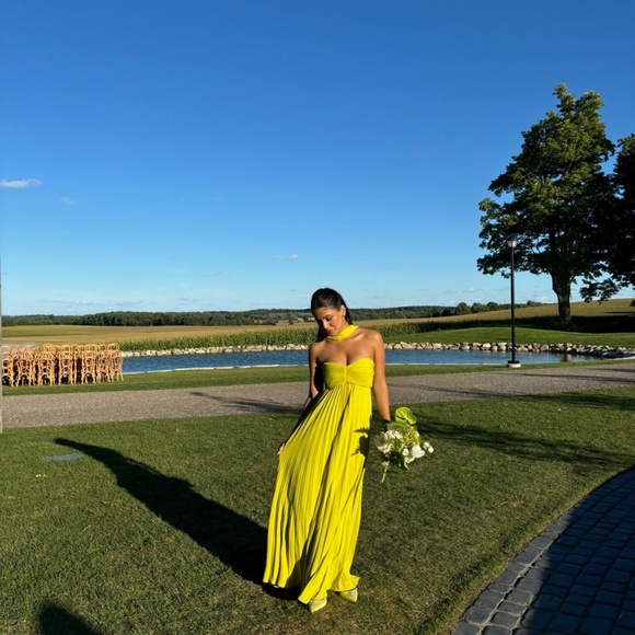 Brand new Delfi Collective Daphne Dress - Picture 4 of 4